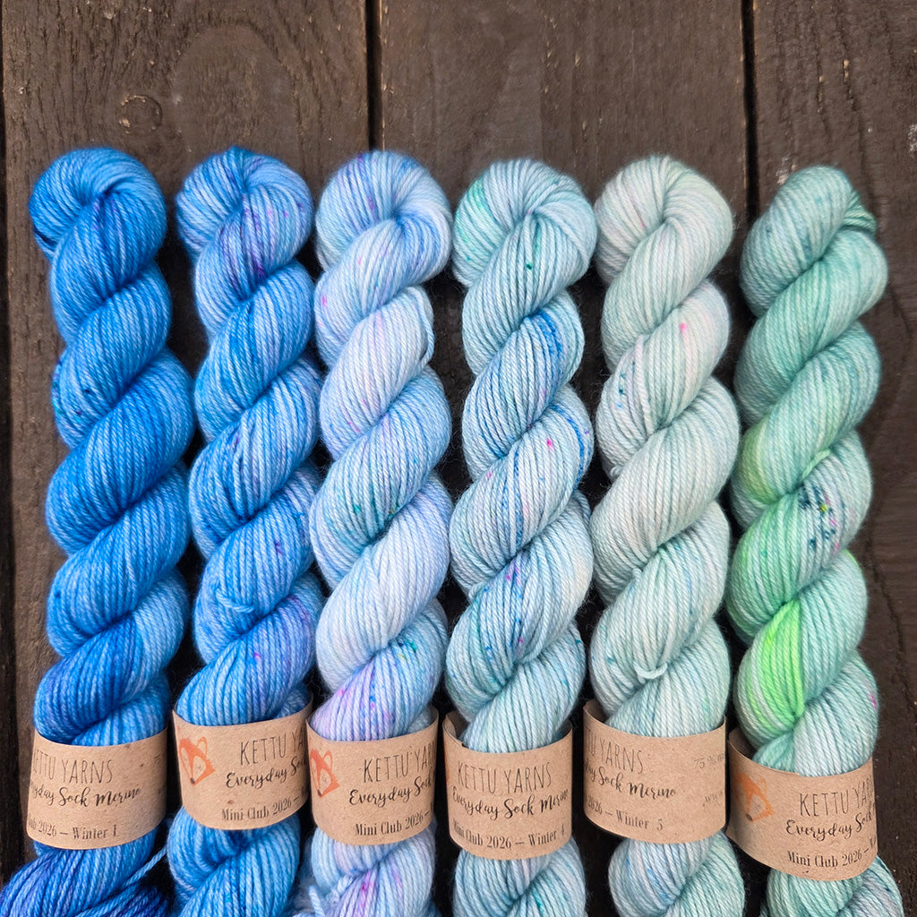 Kettu Yarns No Surprise Mini Club - Everyday Sock Merino set - Winter 2026 - 120 g