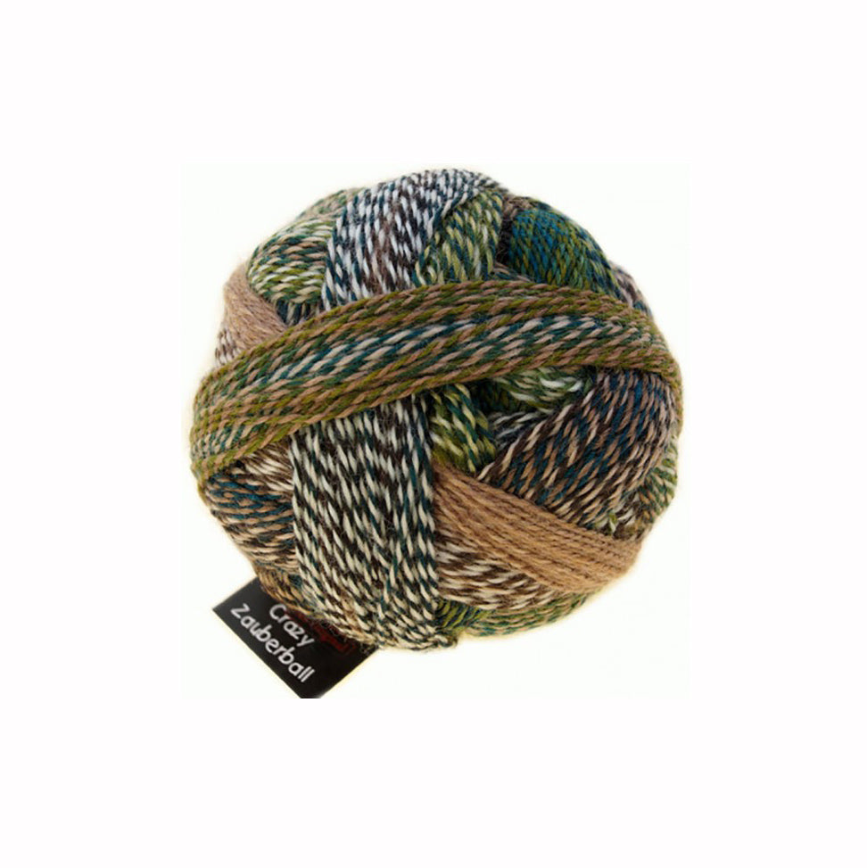 Schoppel Wolle - Zauberball Crazy