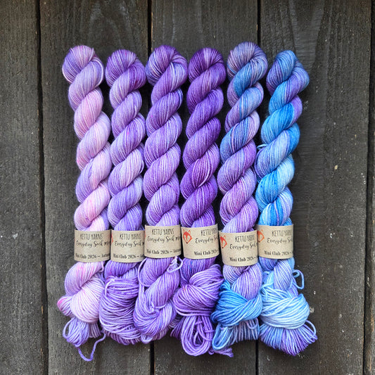Kettu Yarns No Surprise Mini Club - Everyday Sock Merino setti - Autumn 2026 - 120 g