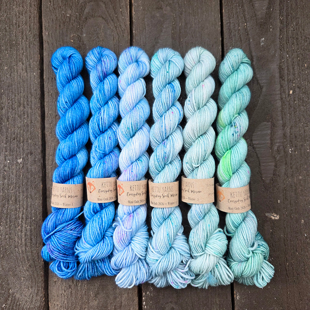 Kettu Yarns No Surprise Mini Club - Everyday Sock Merino set - Winter 2026 - 120 g